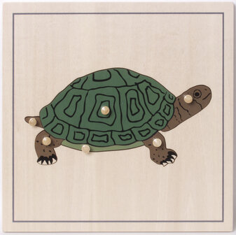 Dierenpuzzel Schildpad